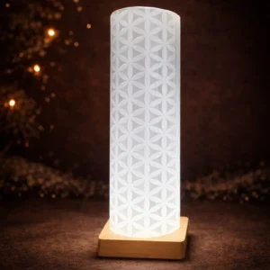 Lampe sélénite gypse Fleur de Vie 31 cm sur socle en bois – lumière douce
