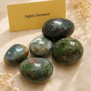 Pierres roulées naturelles en agate mousse aux nuances vertes, bleutées et brunes
