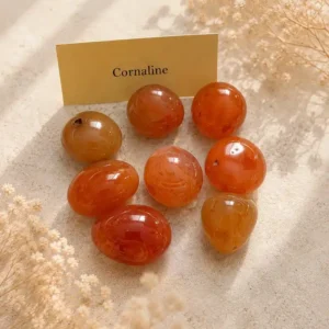 Pierre roulée Cornaline naturelle de qualité AA