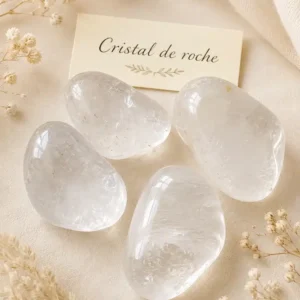 Pierre roulée en cristal de roche transparent sur fond beige avec fleurs séchées